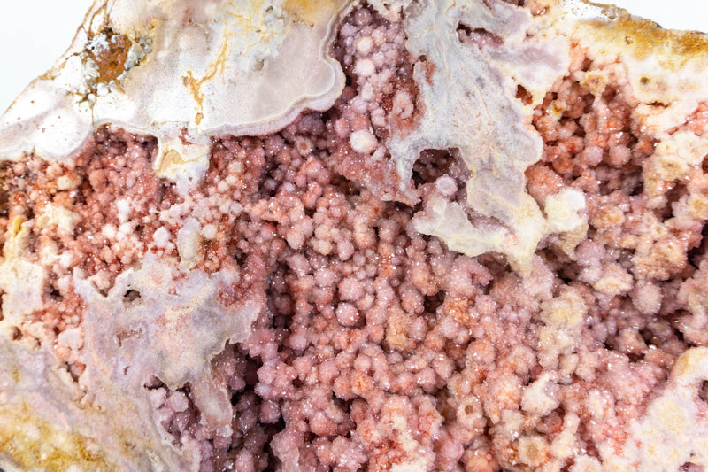 Gallery Grade Large AAA Natural Pink Amethyst Geode - E2D Crystals & Minerals