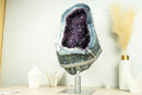 Rare World-Class Amethyst Geode with White and Blue Lace Agate