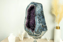 Rare World-Class Amethyst Geode with White and Blue Lace Agate