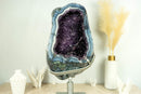 Rare World-Class Amethyst Geode with White and Blue Lace Agate