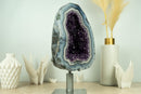 World-Class Amethyst Geode with White and Blue Lace Agate