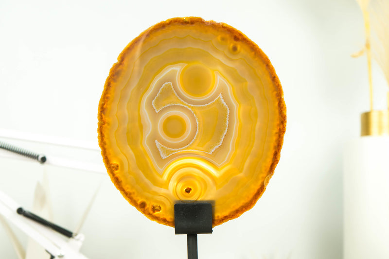 Seltene natürliche goldene Spitzenachatscheibe mit Augeneinschlüssen und Neonlinien