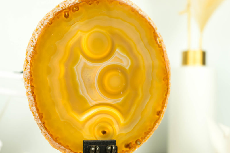 Seltene natürliche goldene Spitzenachatscheibe mit Augeneinschlüssen und Neonlinien