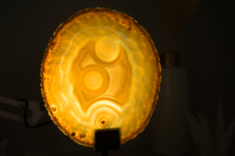 Seltene natürliche goldene Spitzenachatscheibe mit Augeneinschlüssen und Neonlinien