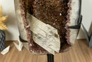 Natural Amethyst Geode with Golden Goethite Cacoxenite and Gypsum var. Selenite Crystal collective