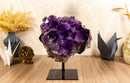 Amethyst Cluster with X-Large Rich Dark Deep Purple Druzy Points collective