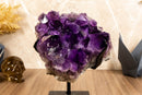 Amethyst Cluster with X-Large Rich Dark Deep Purple Druzy Points collective