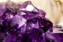 Amethyst Cluster with X-Large Rich Dark Deep Purple Druzy Points collective