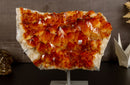Deep Orange Citrine Flower Cluster on Stand collective