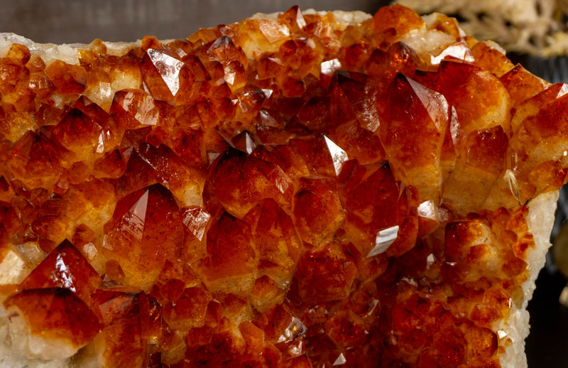 Deep Orange Citrine Flower Cluster on Stand collective