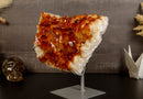 Deep Orange Citrine Flower Cluster on Stand collective