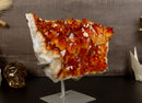 Deep Orange Citrine Flower Cluster on Stand collective