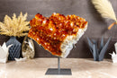 Citrine Cluster Flower with Large Orange Citrine Druzy collective