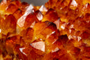 Citrine Cluster Flower with Large Orange Citrine Druzy collective