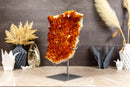 Natural Dark Orange Citrine Cluster AAA Citrine Crystal Druzy collective
