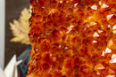 Natural Dark Orange Citrine Cluster AAA Citrine Crystal Druzy collective