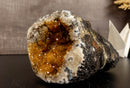 Citrine Geode Cathedral with Flower Stalactites collective