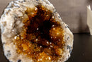 Citrine Geode Cathedral with Flower Stalactites collective