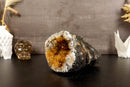 Citrine Geode Cathedral with Flower Stalactites collective