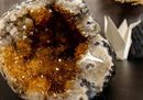 Citrine Geode Cathedral with Flower Stalactites collective