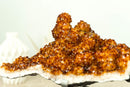Beautiful Orange Cognac Citrine with Stalactite Flower Formations