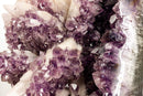 Amethyst Cluster with UV Reactive Crystal Calcite, Aaa Collector Grade Amethyst Cluster collective