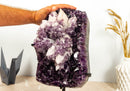 Amethyst Cluster with UV Reactive Crystal Calcite, Aaa Collector Grade Amethyst Cluster collective