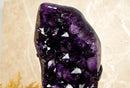Large Amethyst Geode Cluster with AAA, Dark Purple Grape Jelly Amethyst Points collective