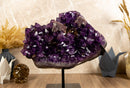 Amethyst Cluster with Calcite and Golden Goethite, Aaa Dark Amethyst collective
