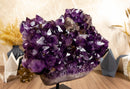 Amethyst Cluster with Calcite and Golden Goethite, Aaa Dark Amethyst collective