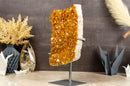 Large Yellow Citrine with Goethite Cluster on Stand collective