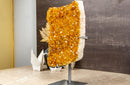 Large Yellow Citrine with Goethite Cluster on Stand collective