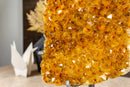 Large Yellow Citrine with Goethite Cluster on Stand collective