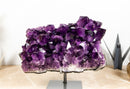 AAA Grade Amethyst Cluster with Dark Purple Druzy - E2D Crystals & Minerals
