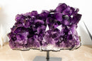 AAA Grade Amethyst Cluster with Dark Purple Druzy - E2D Crystals & Minerals