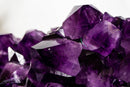 AAA Grade Amethyst Cluster with Dark Purple Druzy - E2D Crystals & Minerals