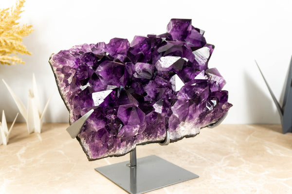 AAA Grade Amethyst Cluster with Dark Purple Druzy - E2D Crystals & Minerals