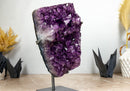 Large and Deep Purple Amethyst Cluster with Golden Goethite collective