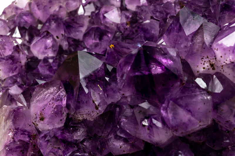 Large and Deep Purple Amethyst Cluster with Golden Goethite collective