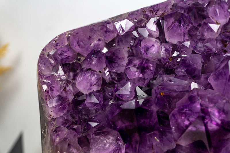 Large and Deep Purple Amethyst Cluster with Golden Goethite collective