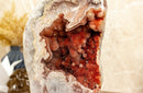 Pink Amethyst Geode with Deep Dark Red Amethyst Flowers Druzy collective