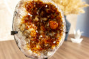Small Dark Orange Citrine Geode Cave on Stand collective