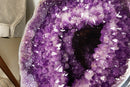 Gallery Grade X-Large Amethyst Geode Cave with Rare Druzy Clusters - E2D Crystals & Minerals