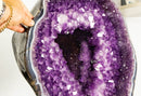 Gallery Grade X-Large Amethyst Geode Cave with Rare Druzy Clusters - E2D Crystals & Minerals