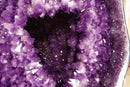 Gallery Grade X-Large Amethyst Geode Cave with Rare Druzy Clusters - E2D Crystals & Minerals