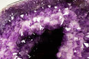 Gallery Grade X-Large Amethyst Geode Cave with Rare Druzy Clusters - E2D Crystals & Minerals