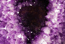 Gallery Grade X-Large Amethyst Geode Cave with Rare Druzy Clusters - E2D Crystals & Minerals