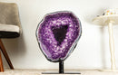 Gallery Grade X-Large Amethyst Geode Cave with Rare Druzy Clusters - E2D Crystals & Minerals