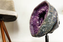 Gallery Grade X-Large Amethyst Geode Cave with Rare Druzy Clusters - E2D Crystals & Minerals