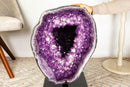 Gallery Grade X-Large Amethyst Geode Cave with Rare Druzy Clusters - E2D Crystals & Minerals